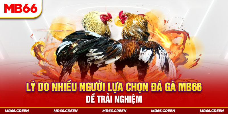 33win02 đăng nhập liêng trực tiếp