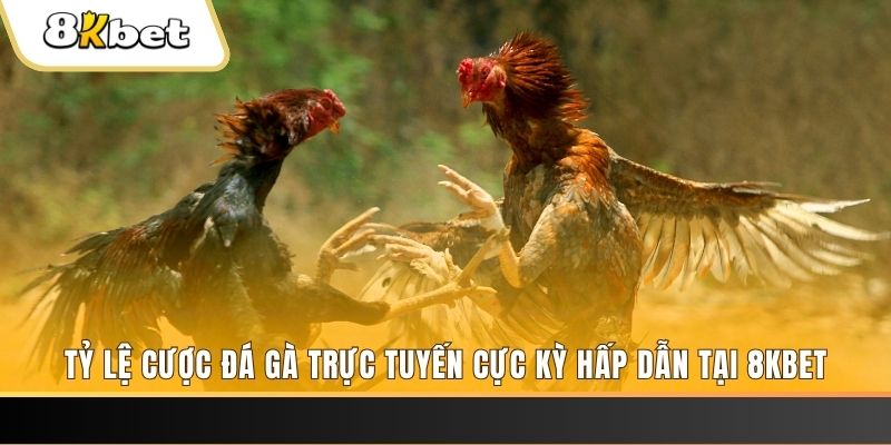 33win02 đăng nhập mậu binh online