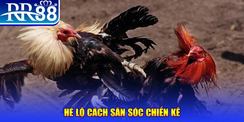 33win02 xổ số miền trung thứ tư